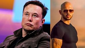 What did Elon Musk say about Andrew Tate joining WWE?