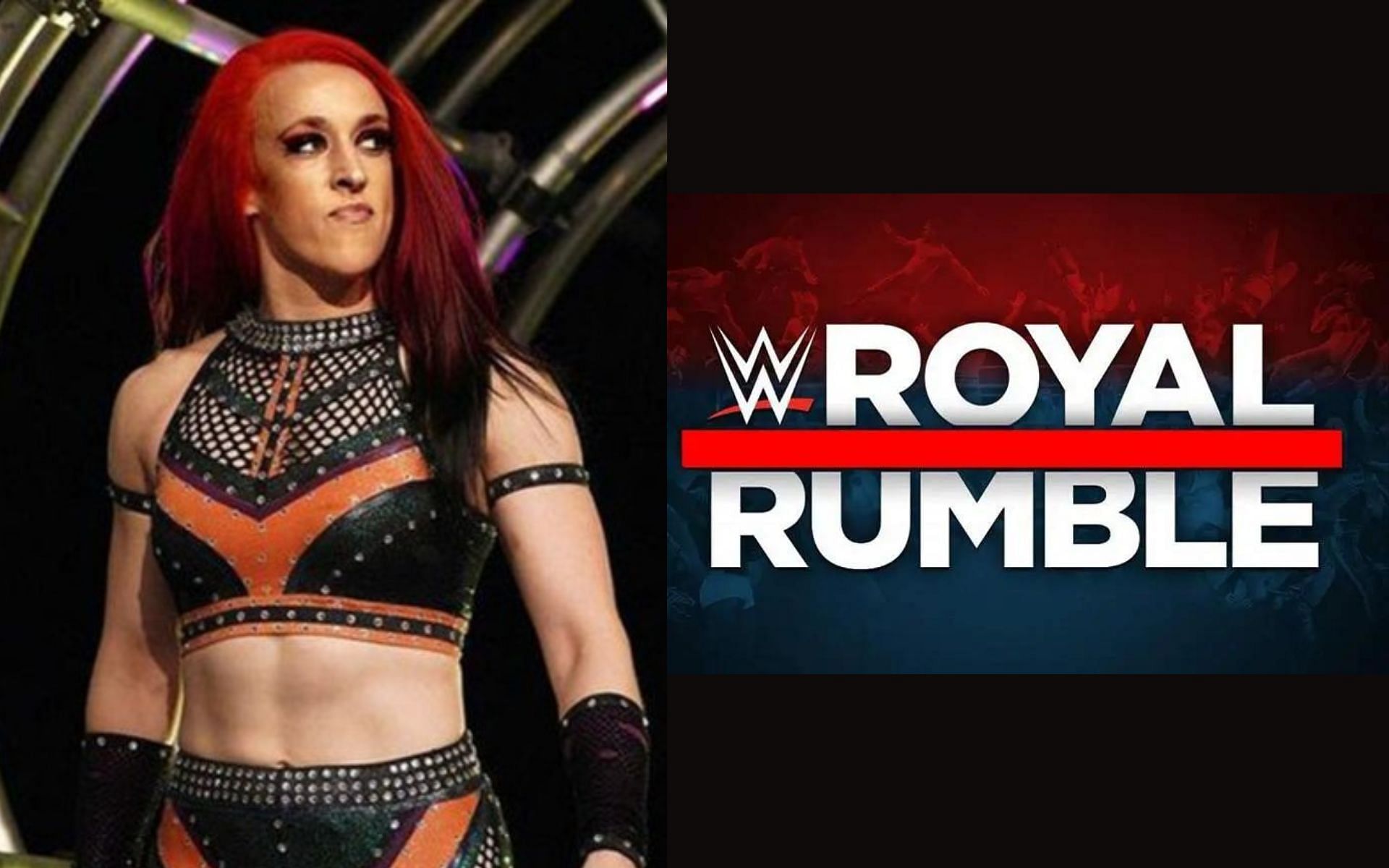 The winner of the Royal Rumble match earns an opportunity to go up against any WWE Champion