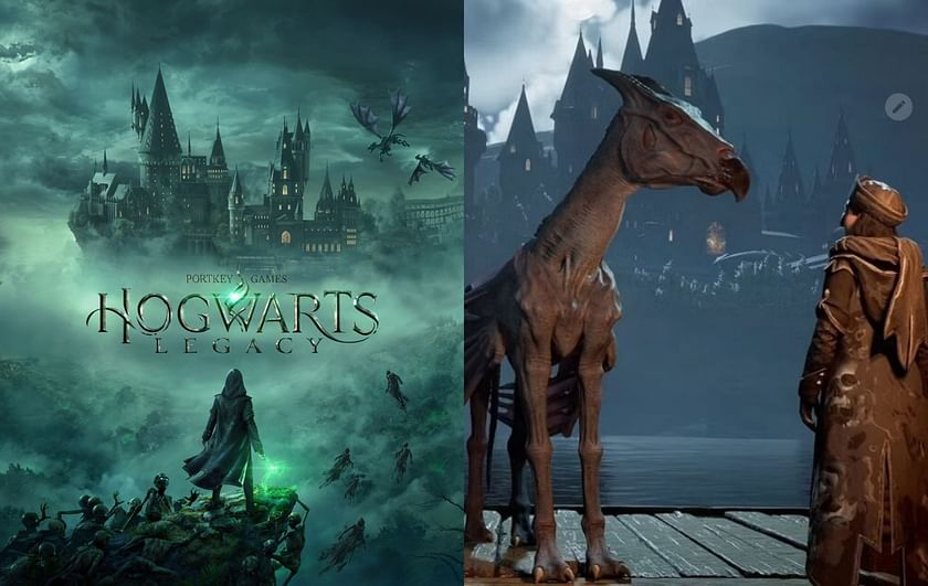 Hogwarts Legacy: Digital Deluxe Edition - Xbox One, Xbox Series X