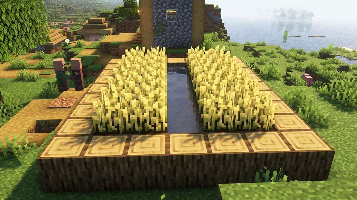 Top 5 Crops Worth Farming In Minecraft 5678