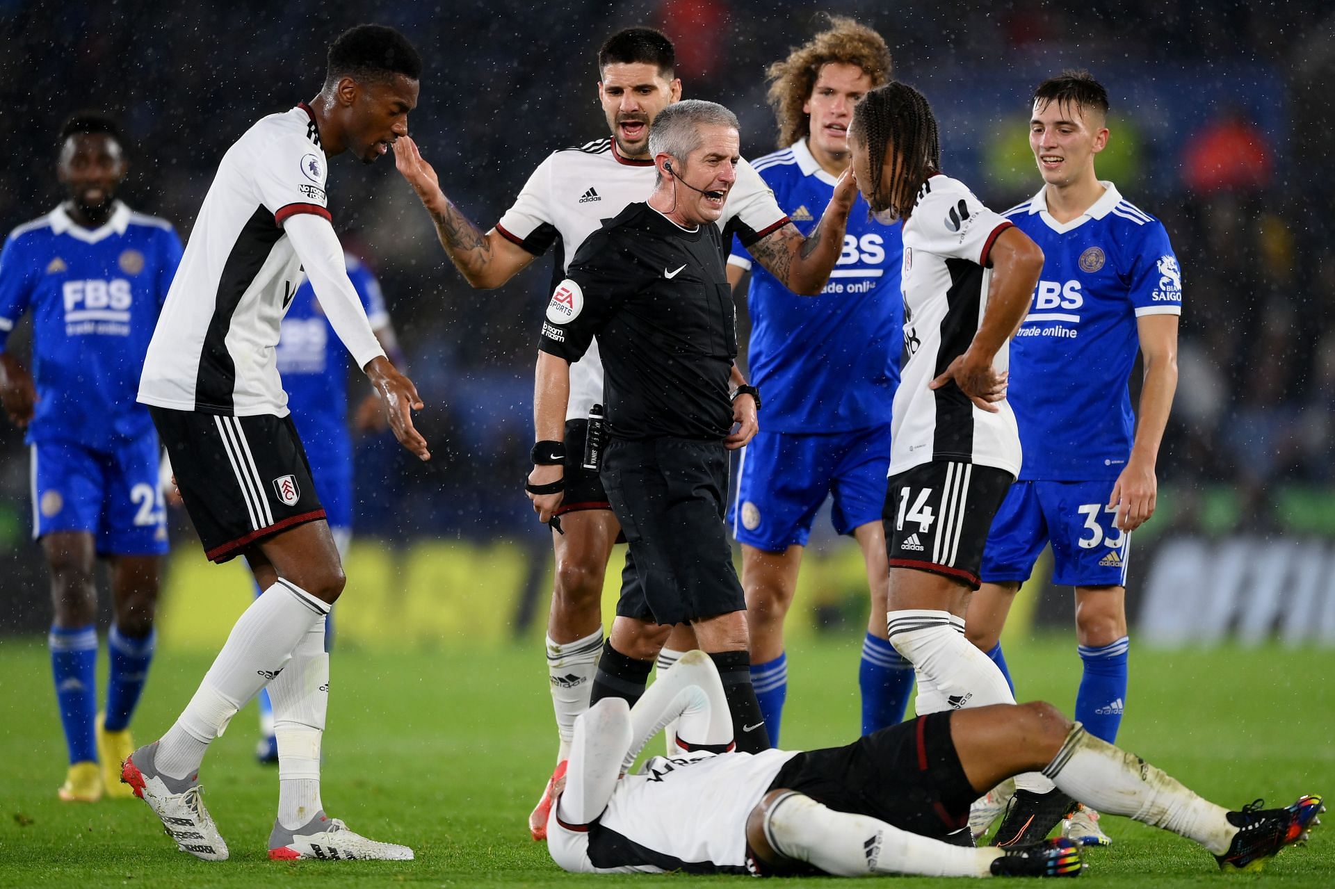 Leicester City contre Fulham FC - Premier League