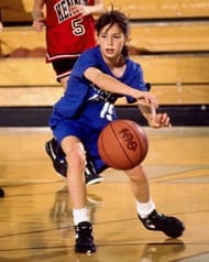 Is Sue Bird related to Larry Bird?