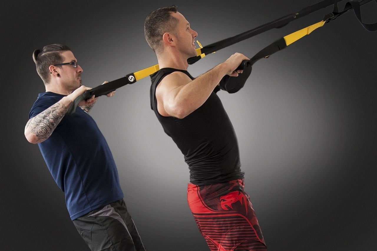 TRX back rows (Image via Pizaboy/karabulakastan)