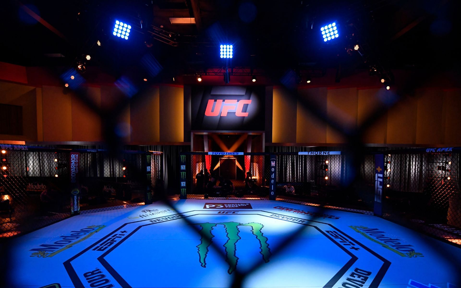 The famed UFC octagon before one of the fight nights