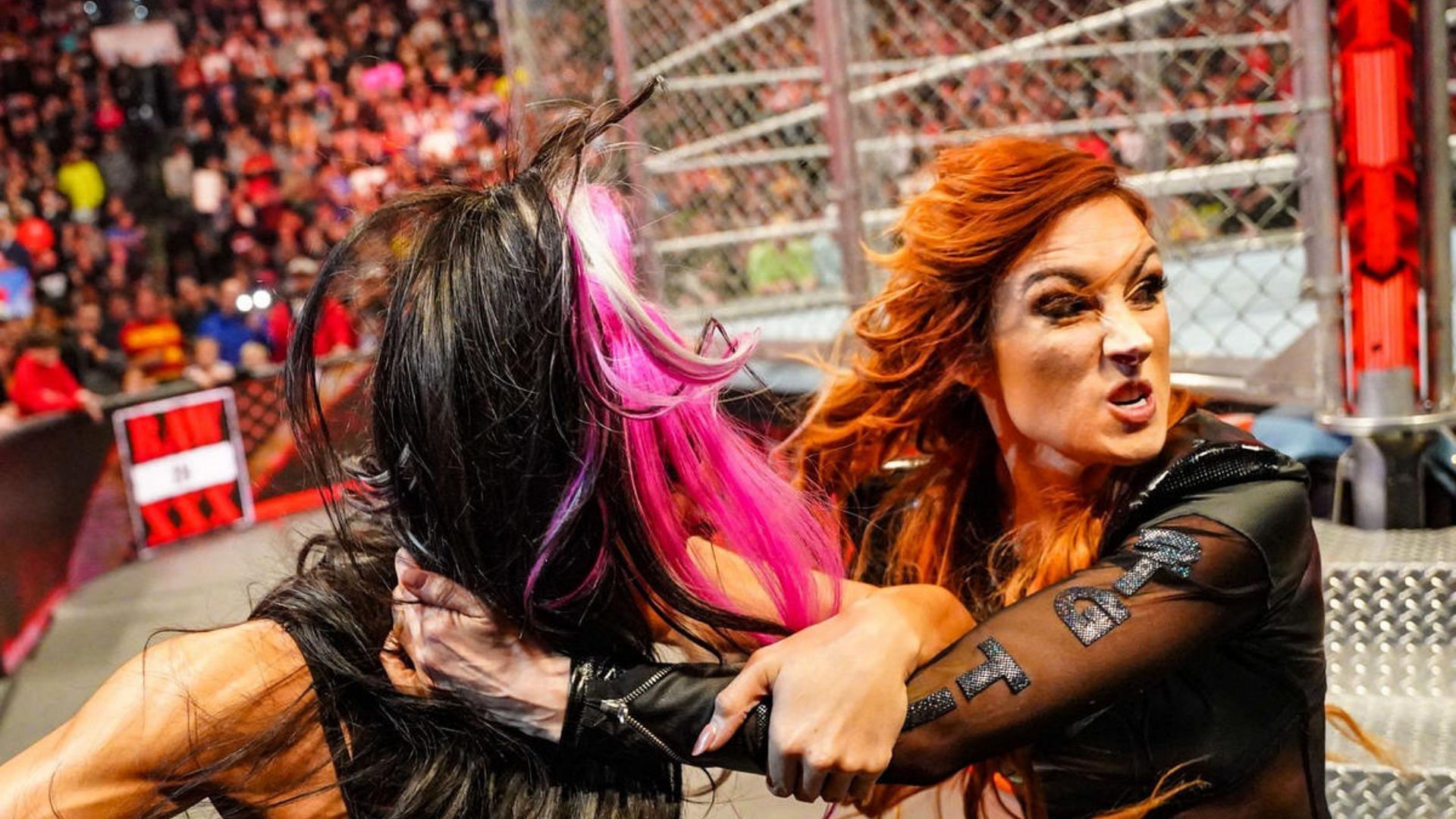 bayley vs becky lynch in the cage match wwe｜TikTok Search