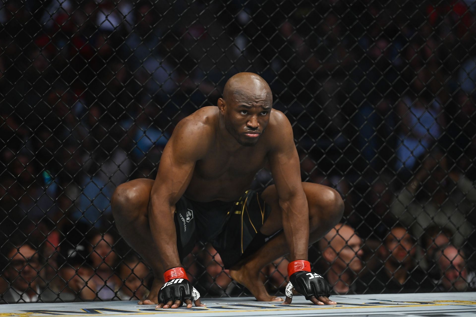 Kamaru Usman was labelled &quot;The most avoided fighter in UFC history.&quot;