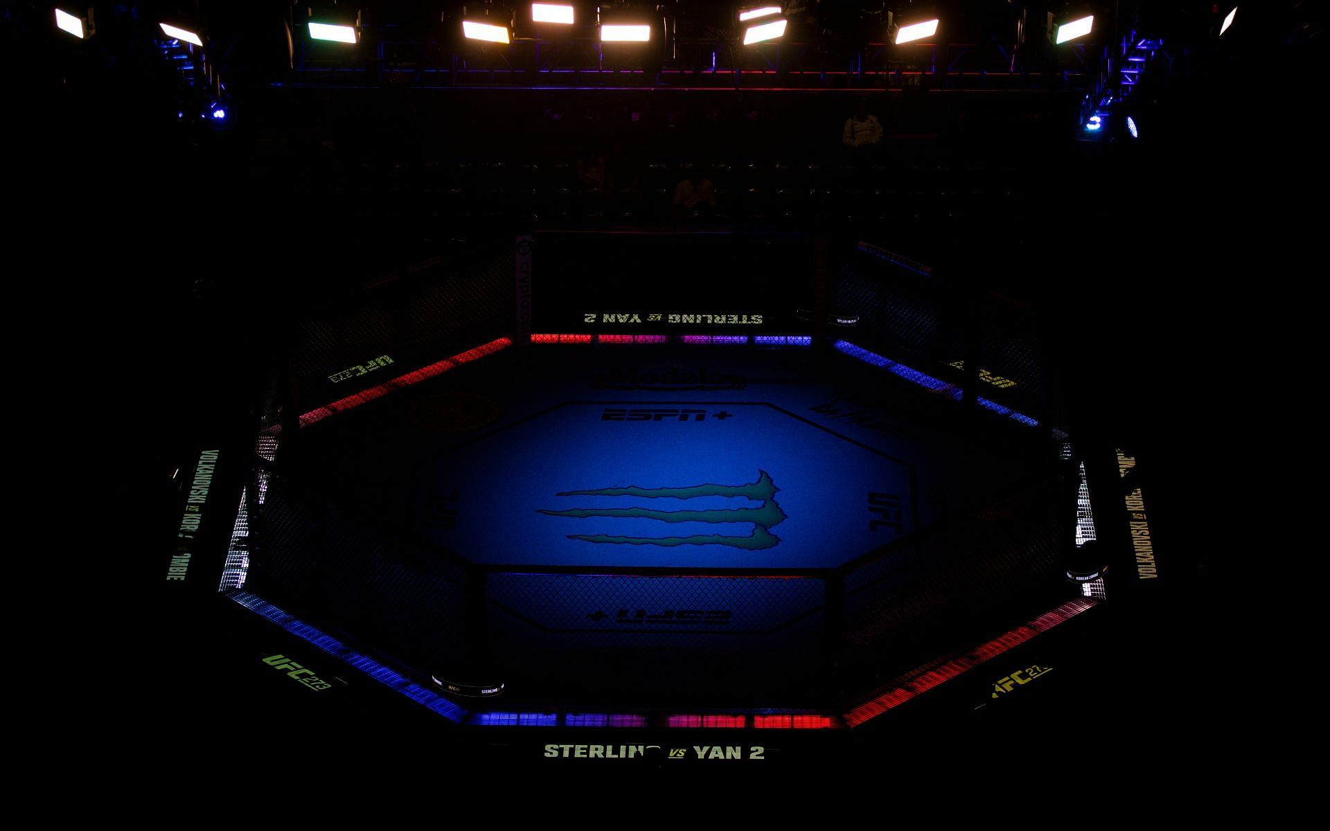 UFC octagon. [via Getty Images]