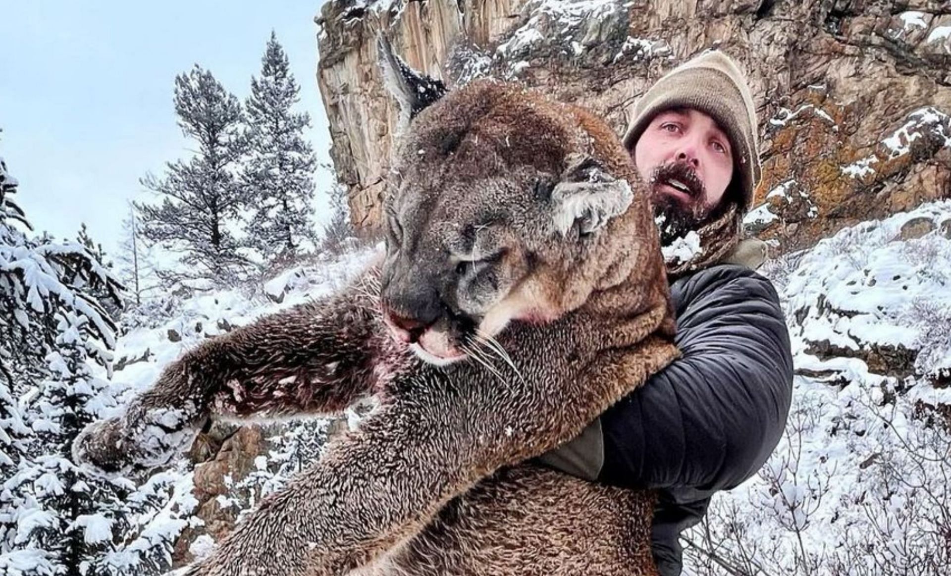 Former Broncos star shows little remorse over killing mountain lion
