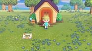 How To Move Your Island House In Animal Crossing New Horizons