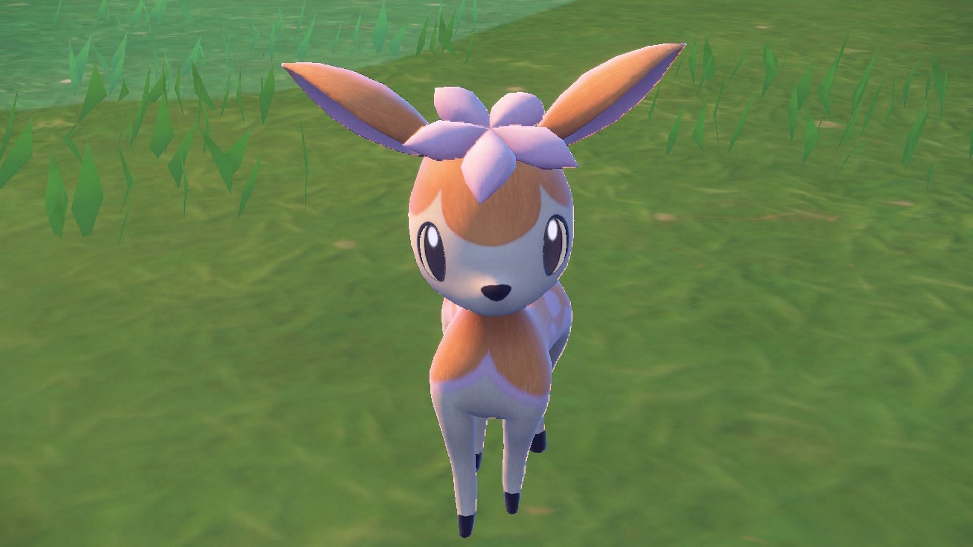 An example of a Shiny Deerling