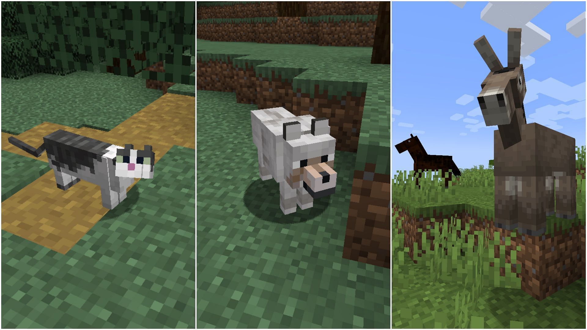 There are several kinds of Minecraft mobs that can be kept as pets (Image via Sportskeeda) 