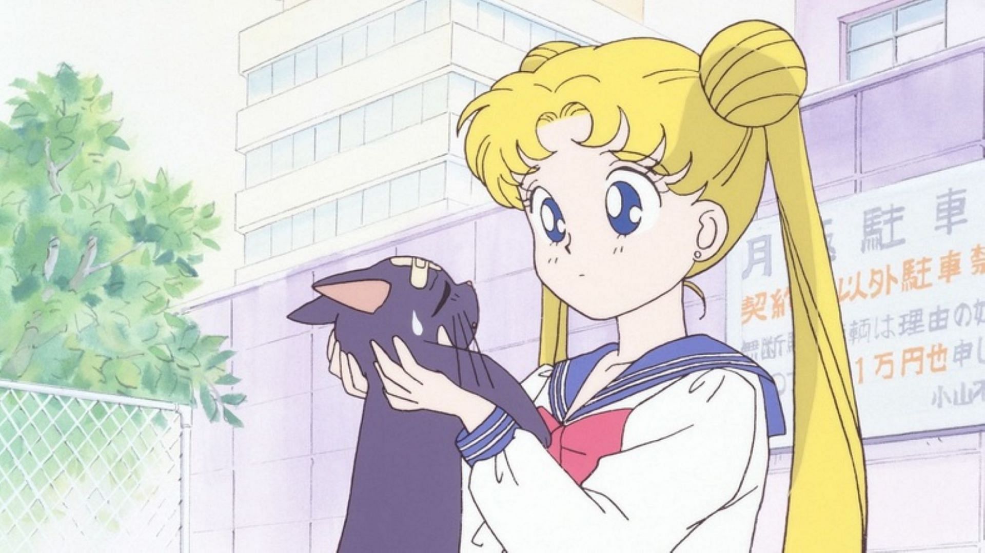 Usagi meets Luna in the anime (Image via Toei Animation)