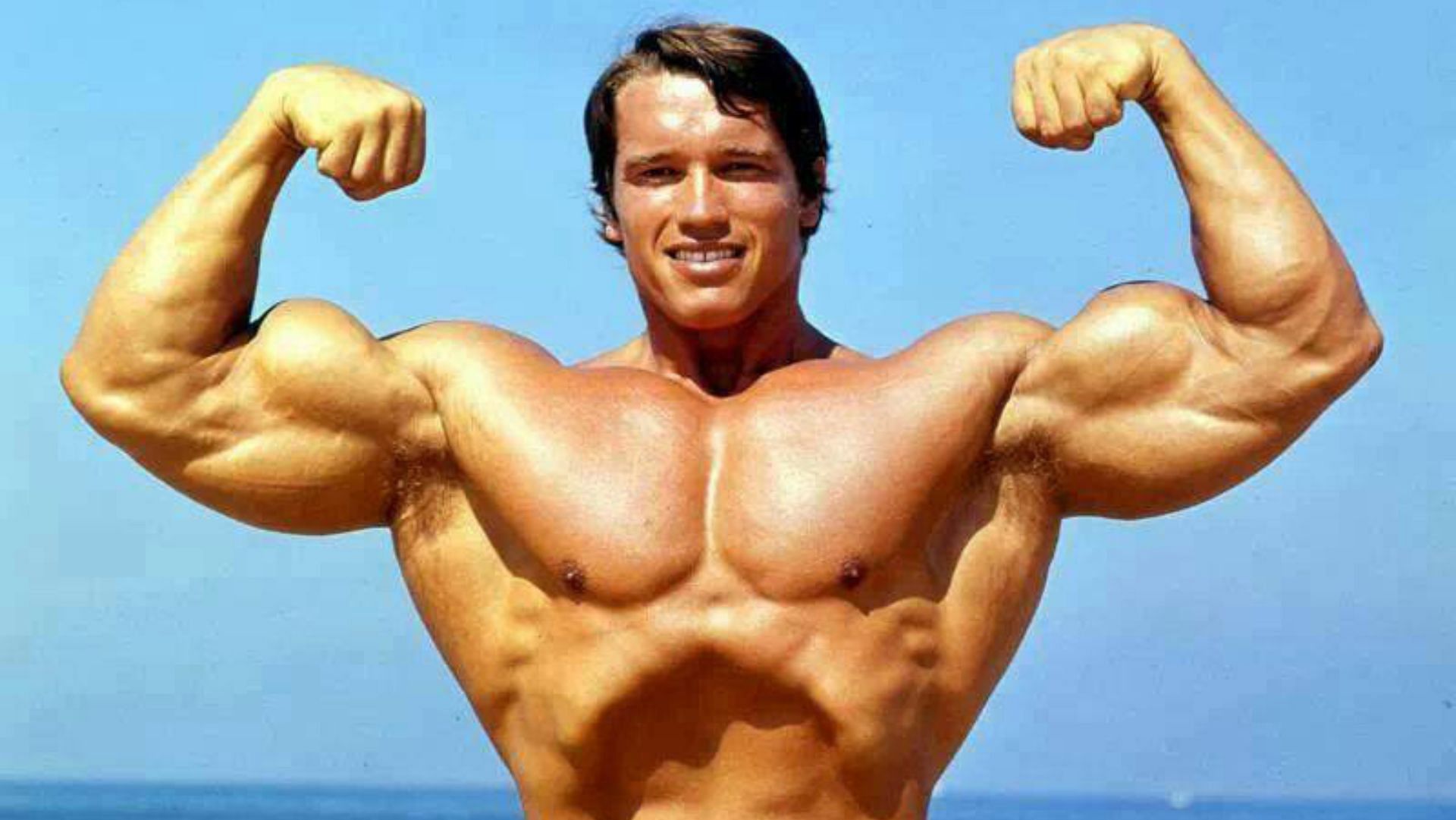 Arnold Schwarzenegger (Image via Google)