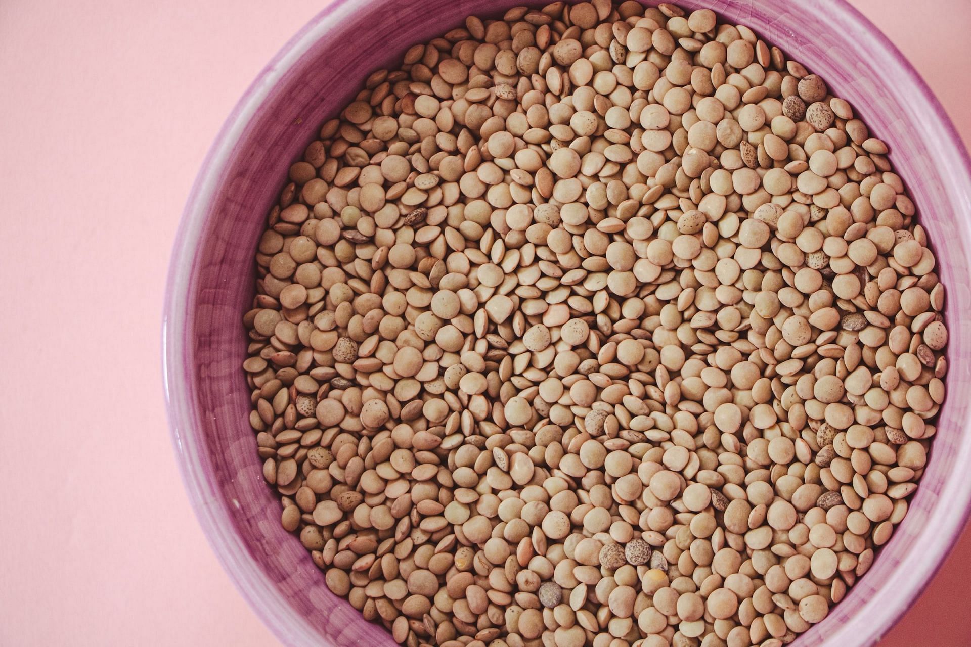 Lentils are protein-rich food (Image via Unsplash/C&eacute;sar Hern&aacute;ndez)