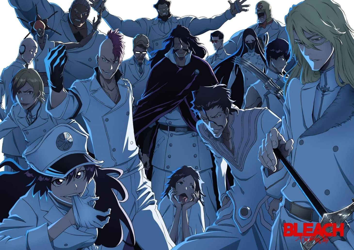 How many episodes does Bleach TYBW have?