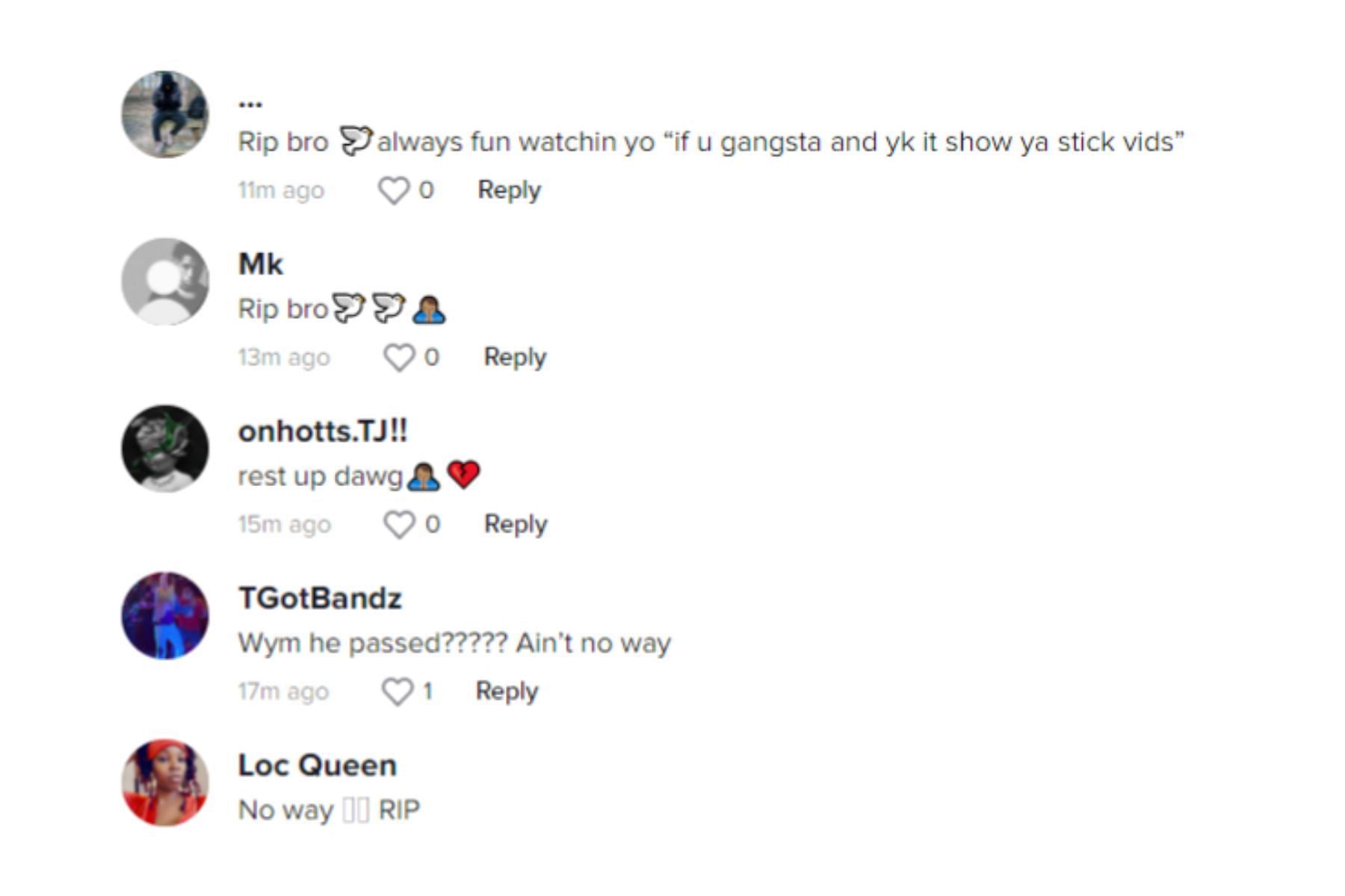 Fans are disheartened by the news of the rapper&#039;s death (Image via TikTok)