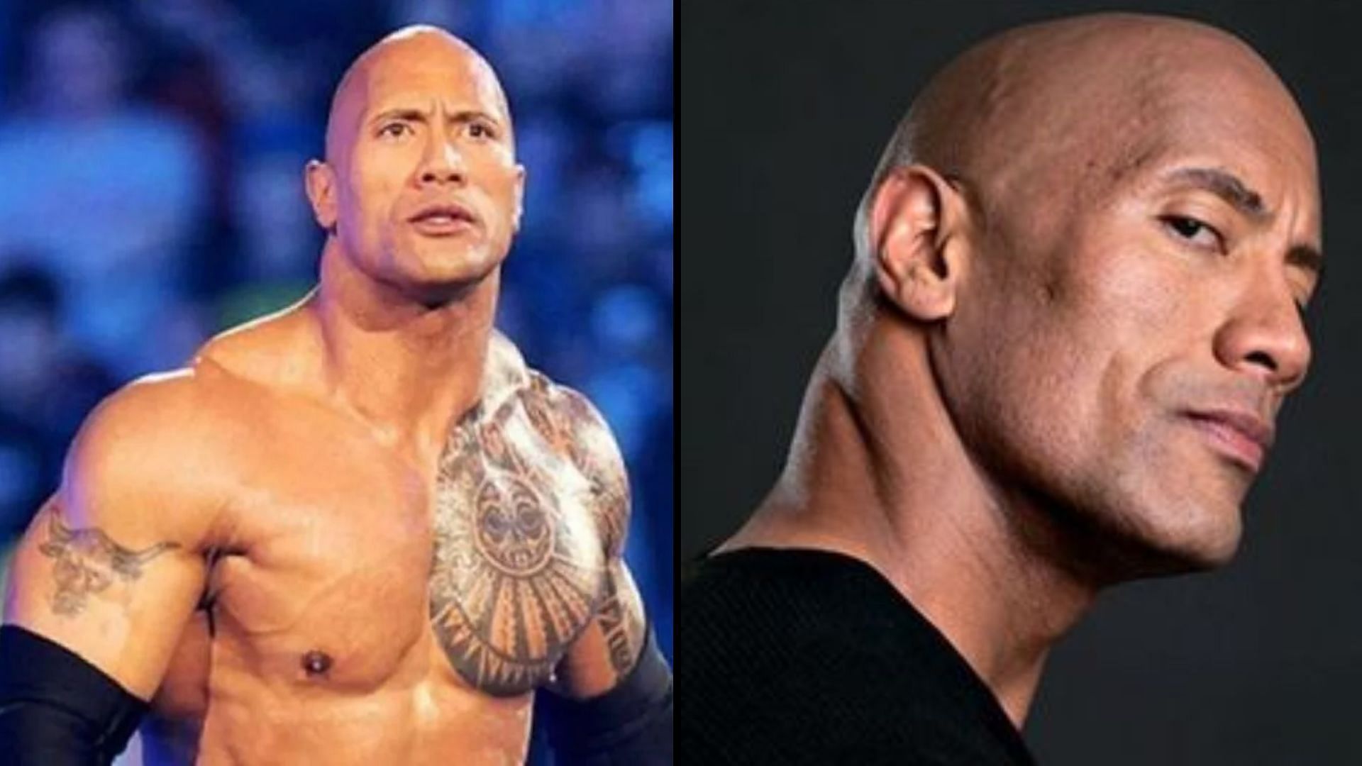 Dwayne &quot;The Rock&quot; Johnson is debatably the most successful individual to come out from the world of wrestling