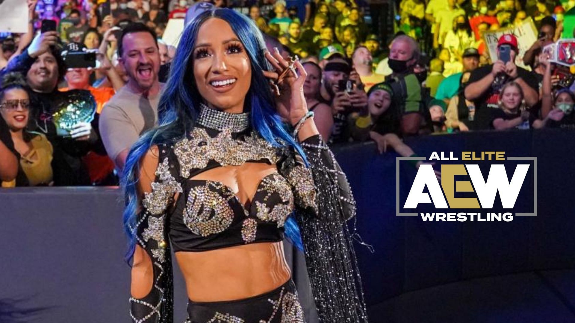 Sasha banks контракт aew 2024