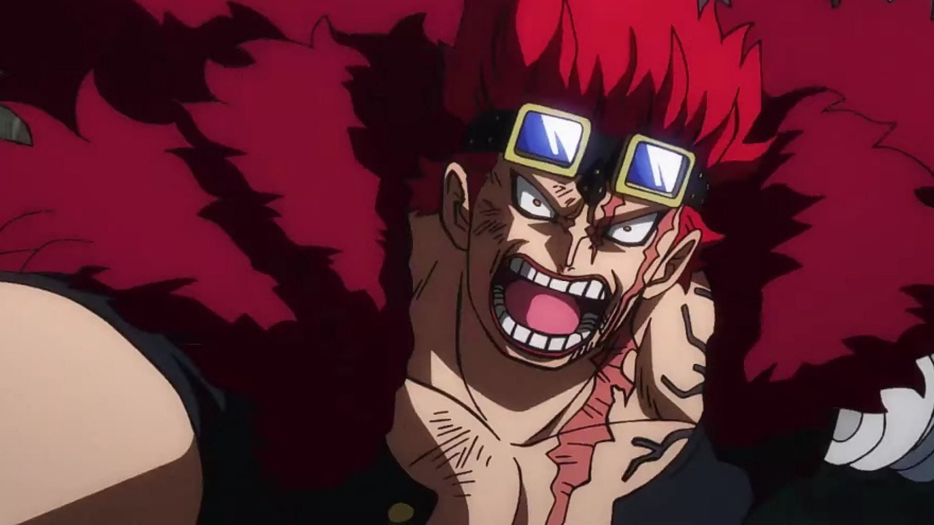 One Piece Episode 1025: Marco Gets More Spotlight, Zoro Shows His Strength  - Anime Corner