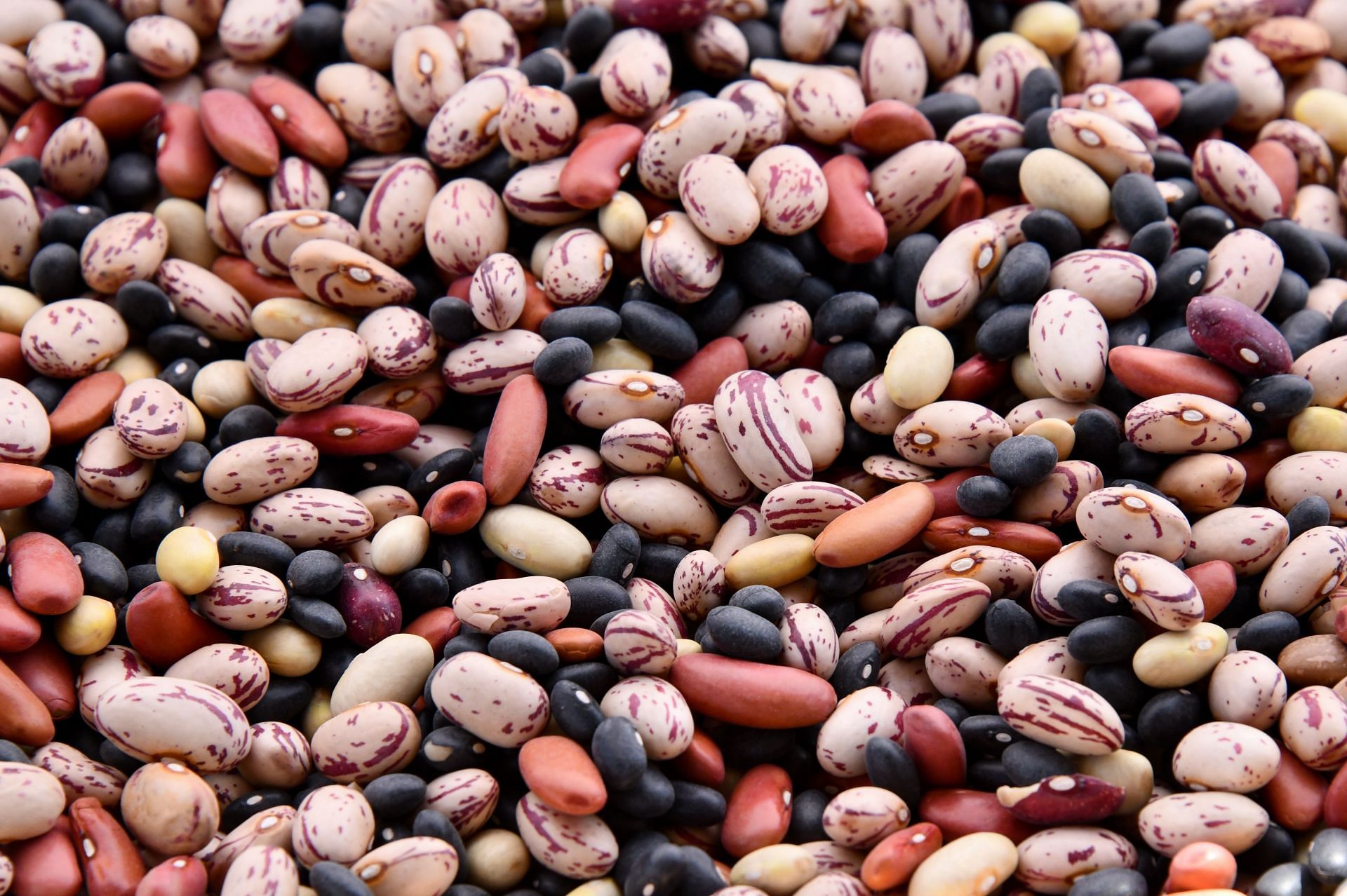 Magnesium food sources include legumes &amp; whole grains. (Image via Unsplash/Shelly Pauls)