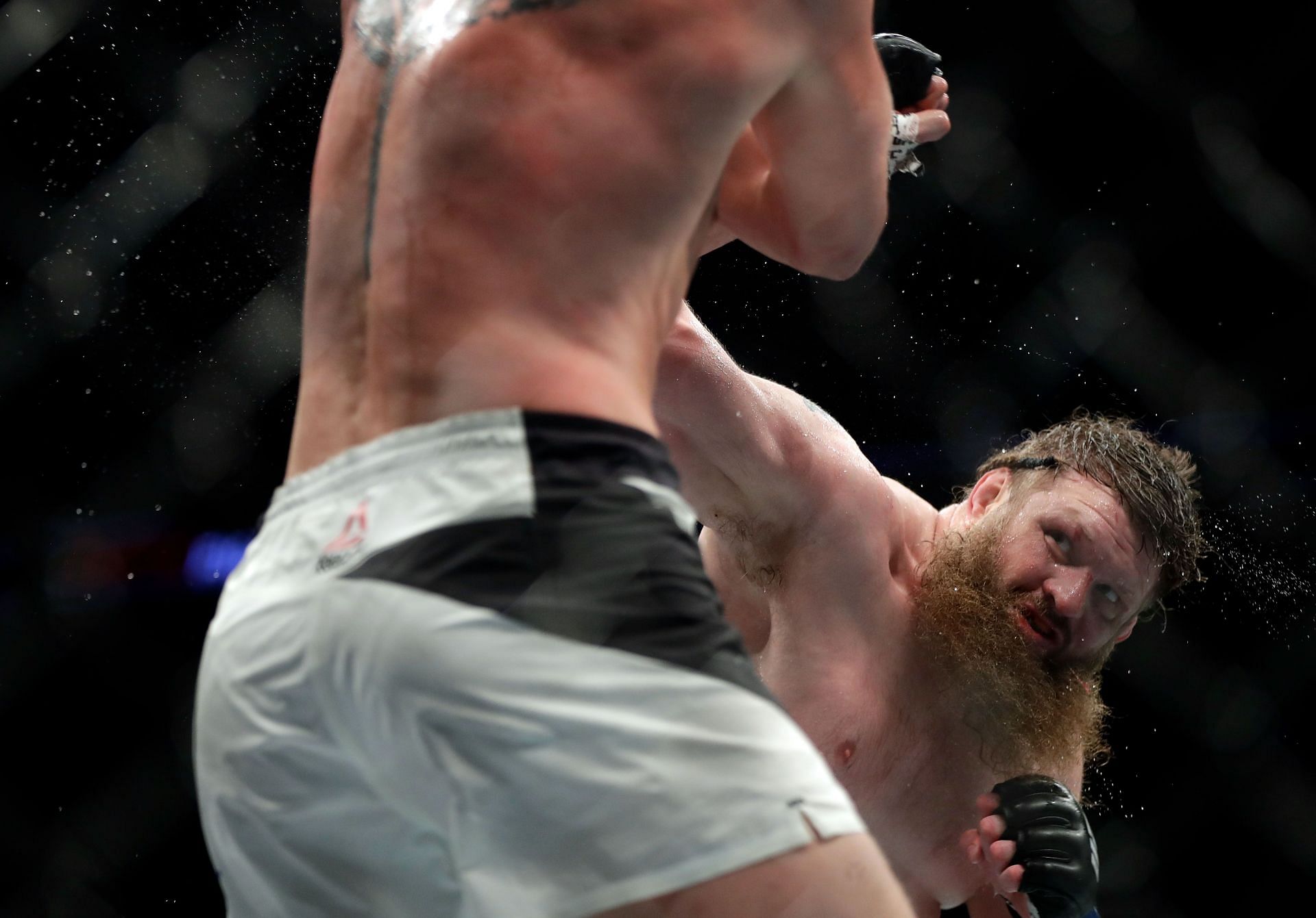 Roy Nelson's finish of Antonio Rodrigo Nogueira was truly scary