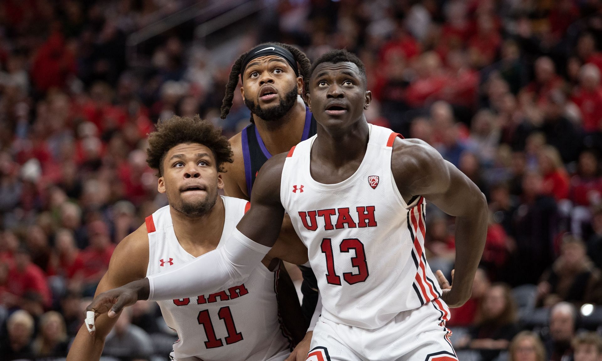 TCU v Utah