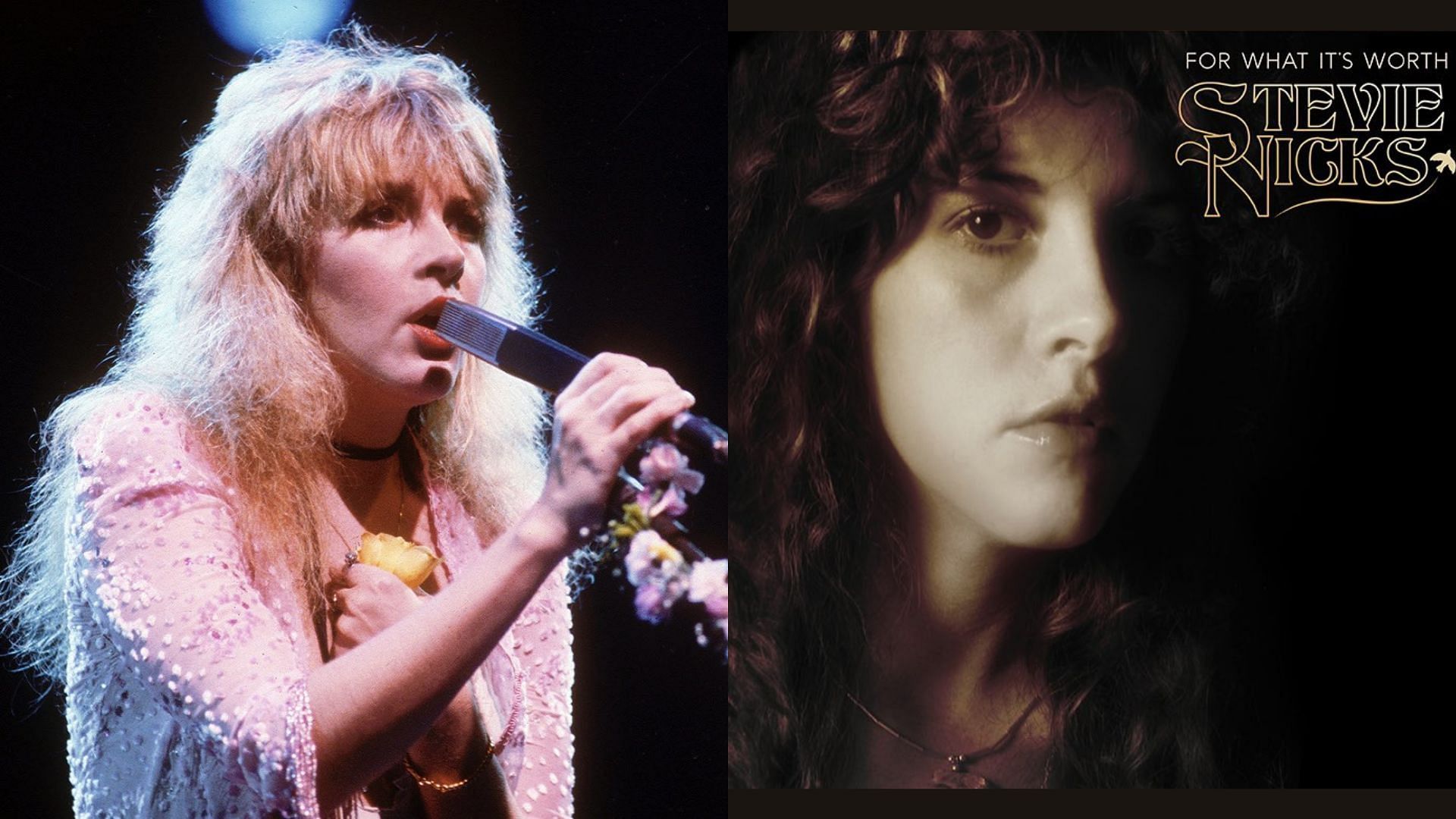 Stevie Nicks (Image via Twitter/ Stevie Nicks)