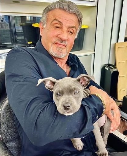 Is Sylvester Stallone Italian?