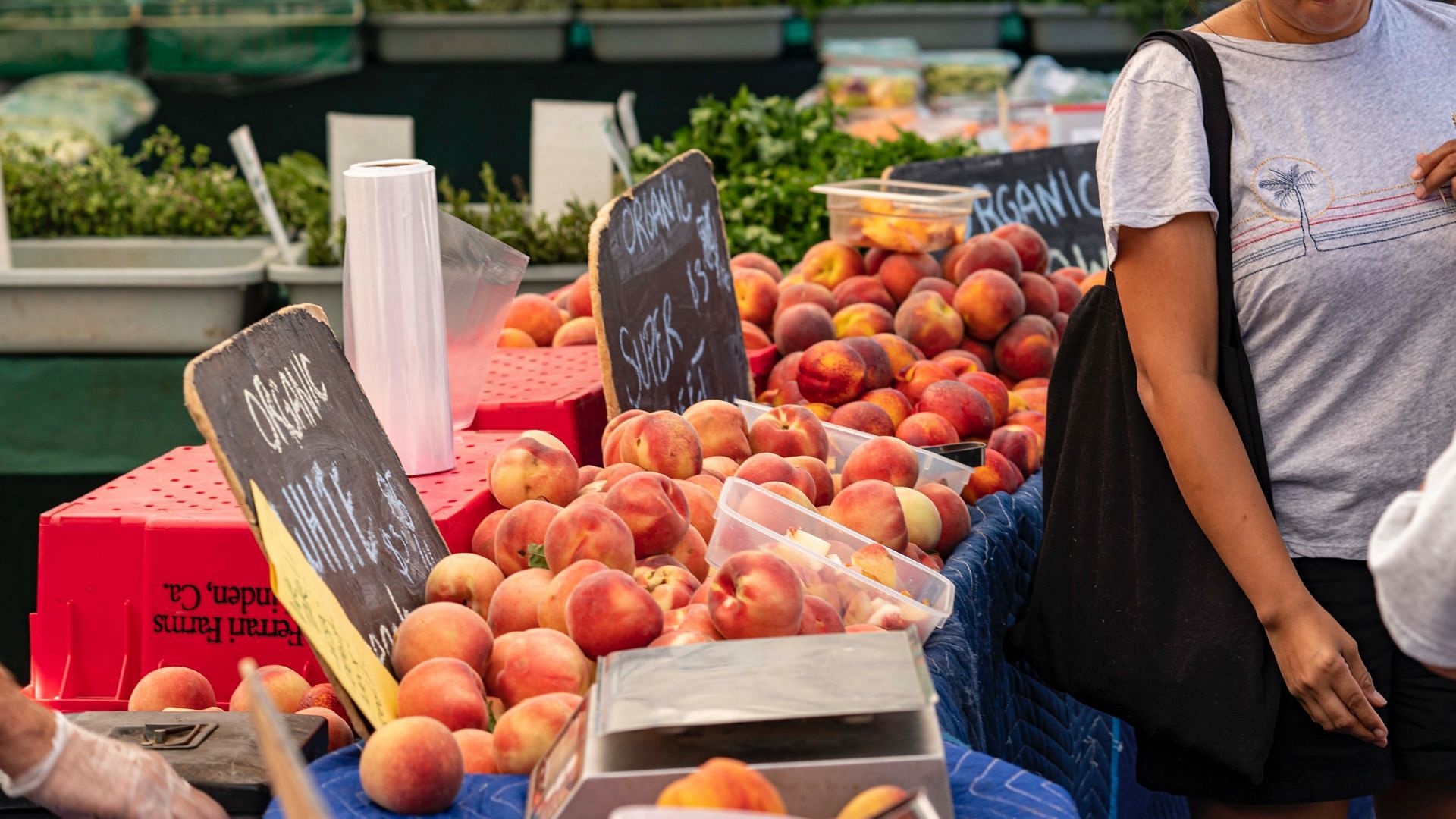 Nectarines are not fuzzier than peaches. (Image via Unsplash / Vincent Balderas)