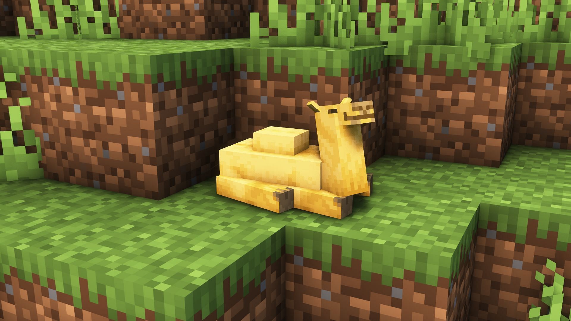 A baby camel (Image via Mojang)