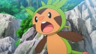 Chespin as seen in the Pokemon anime (Image via TPC)