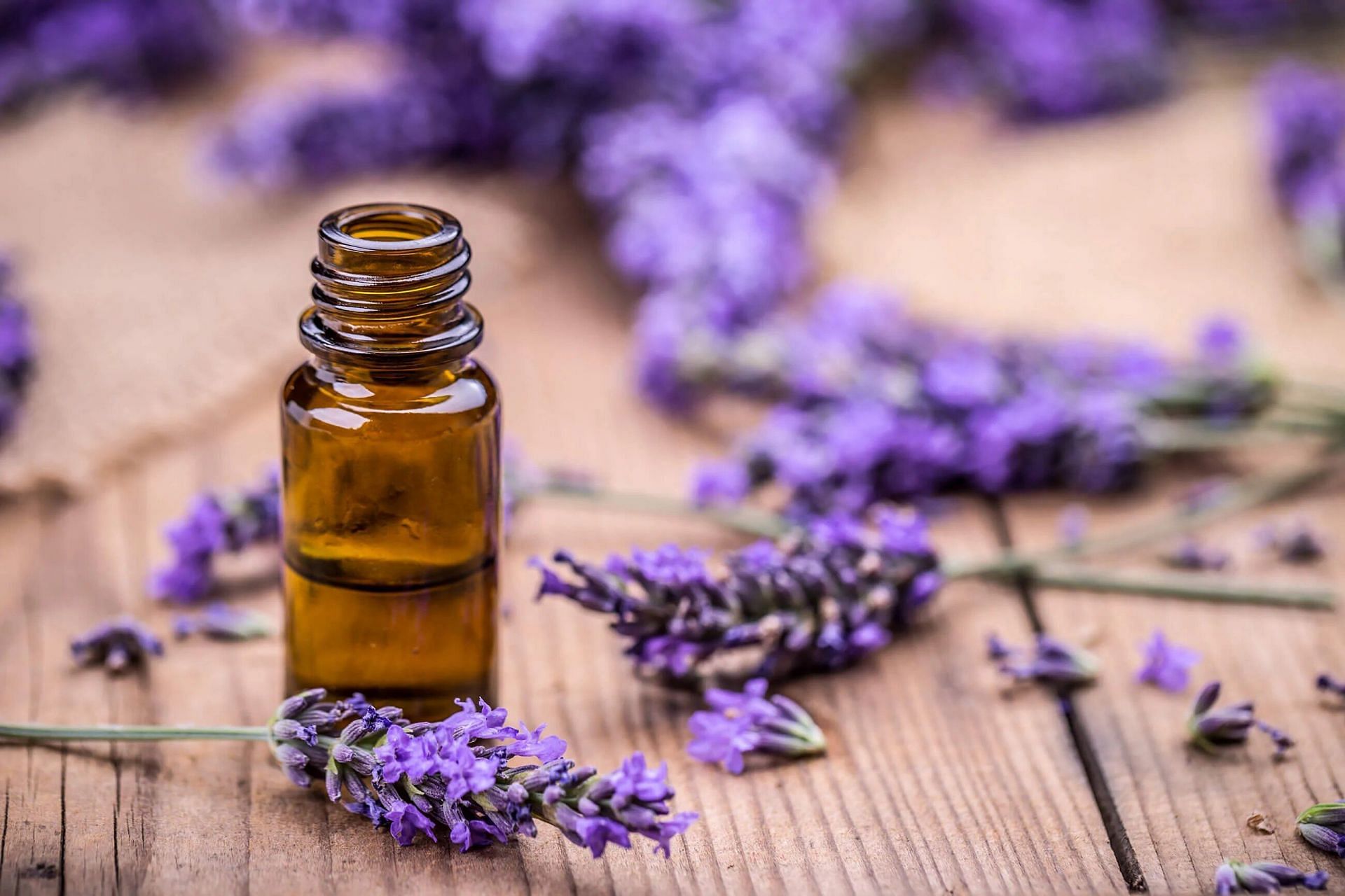 Top 5 health benefits of Lavender oil
