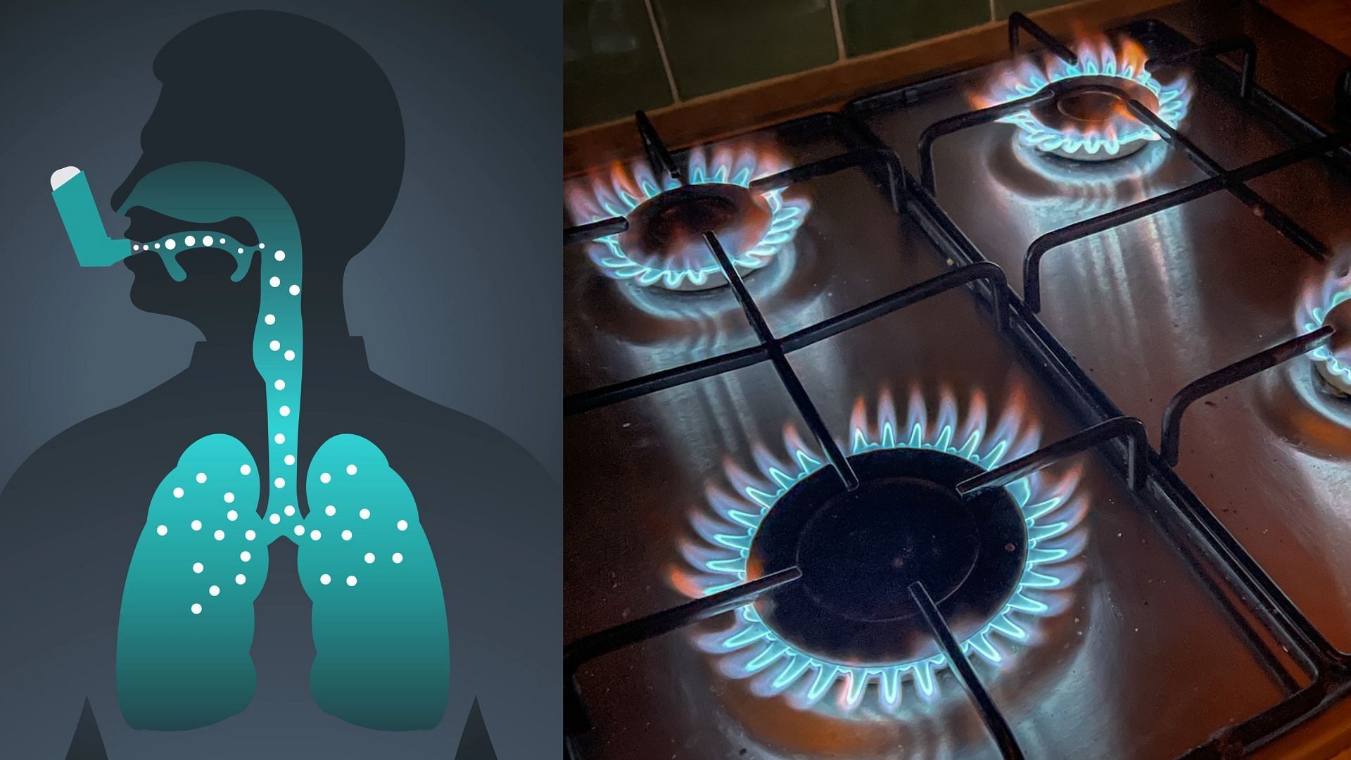 Gas Stoves have been related to the rise in Asthma among children (Image via Matt Cardy/Getty Images)