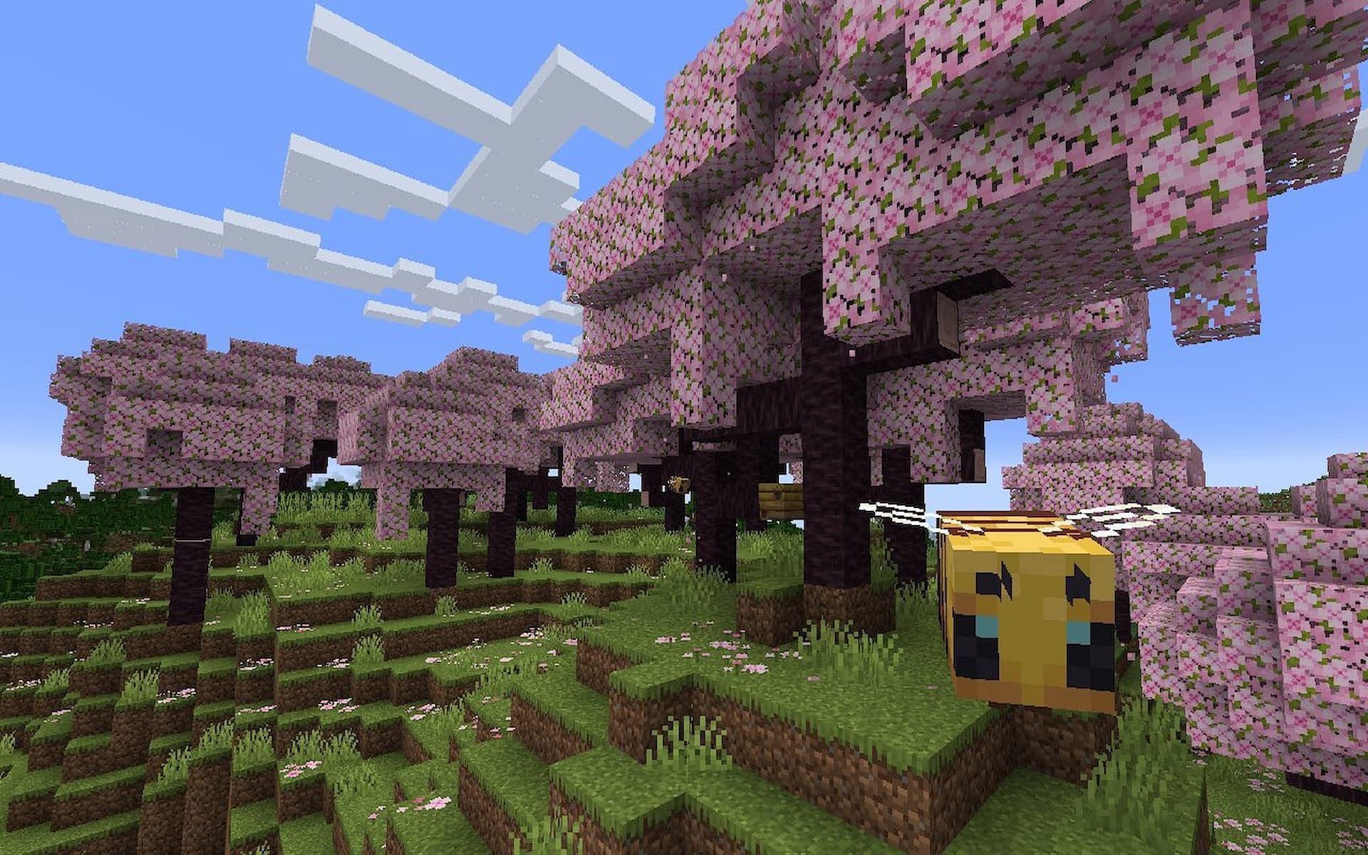 Players can explore the beautiful pink scenery in the Cherry Blossom biome (Image via Mojang)