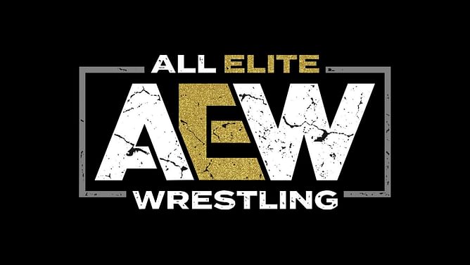 Popular AEW tag team officially breaks up