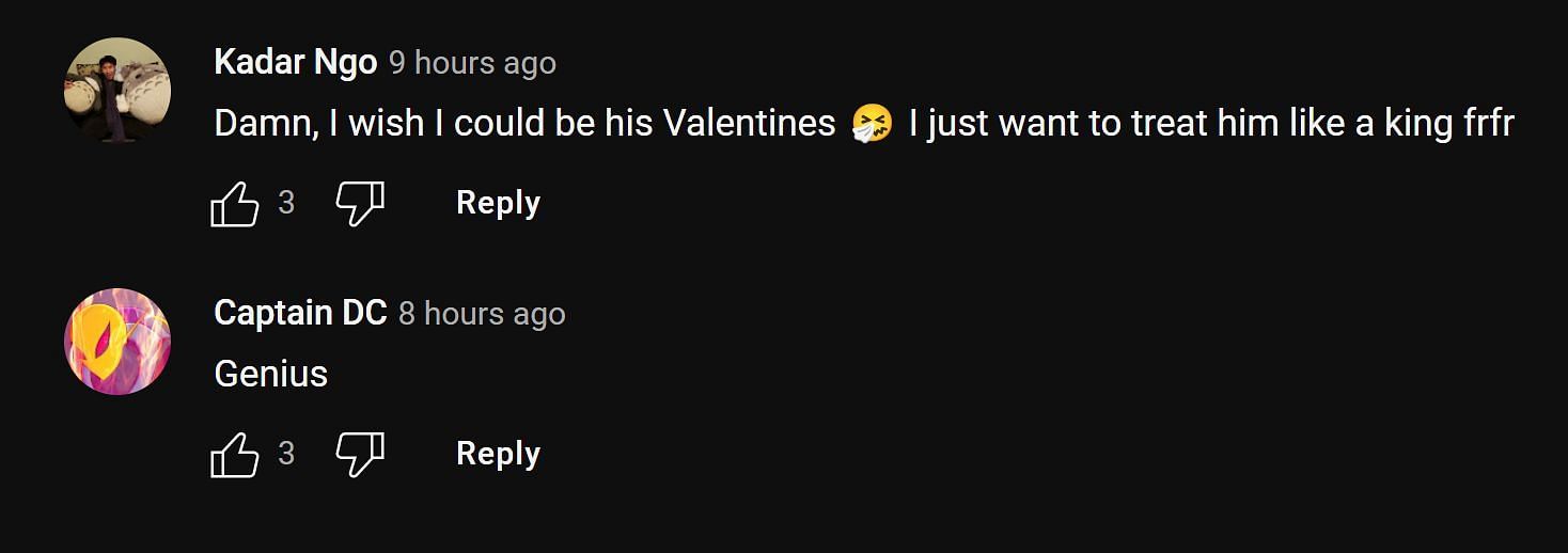  Fans in the YouTube comments section reacting to the streamer&#039;s plans for Valentine&#039;s Day (Image via vital FY/YouTube)