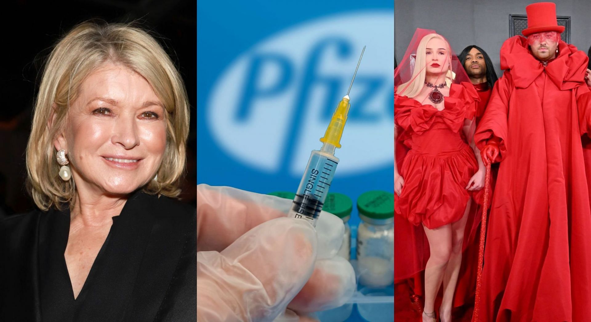 Pfizer came under scrutiny amid Martha Stewart ad and Sam Smith Grammy performance controversy (Image via Getty Images)