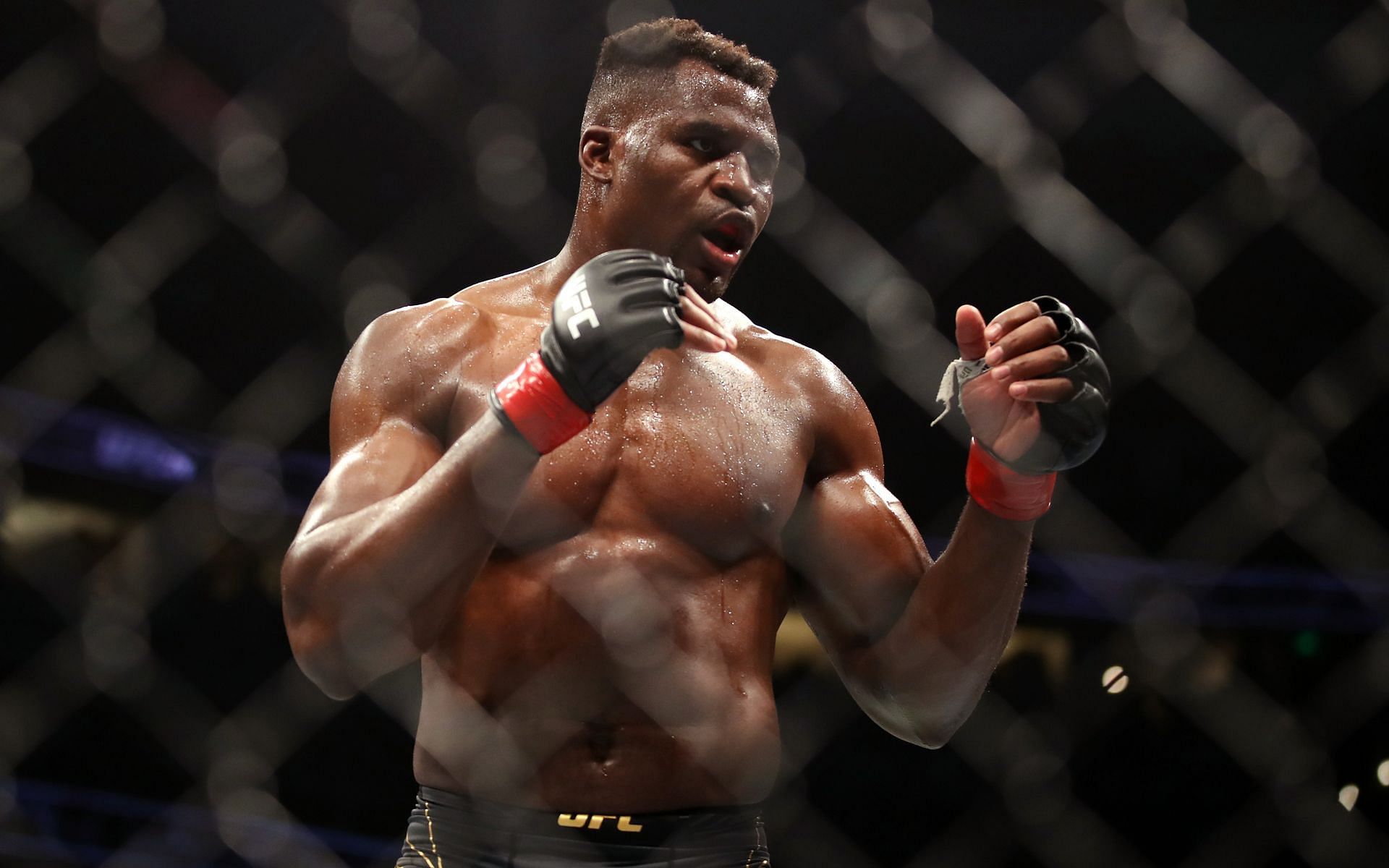 Former UFC heavyweight champion Francis Ngannou