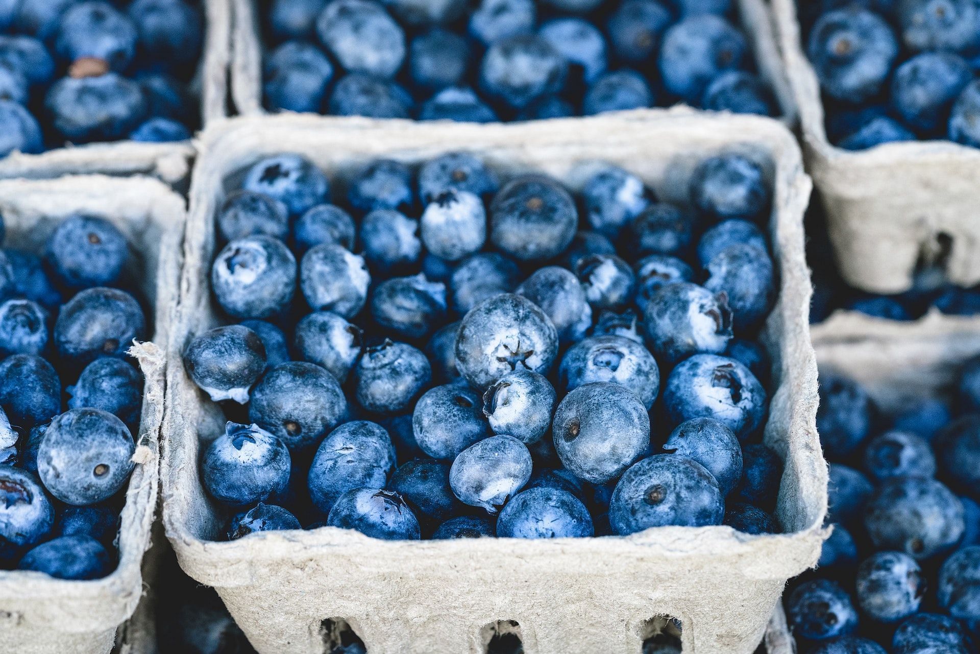 Blueberries are good for the kidneys. (Photo via Pexels/veeterzy)