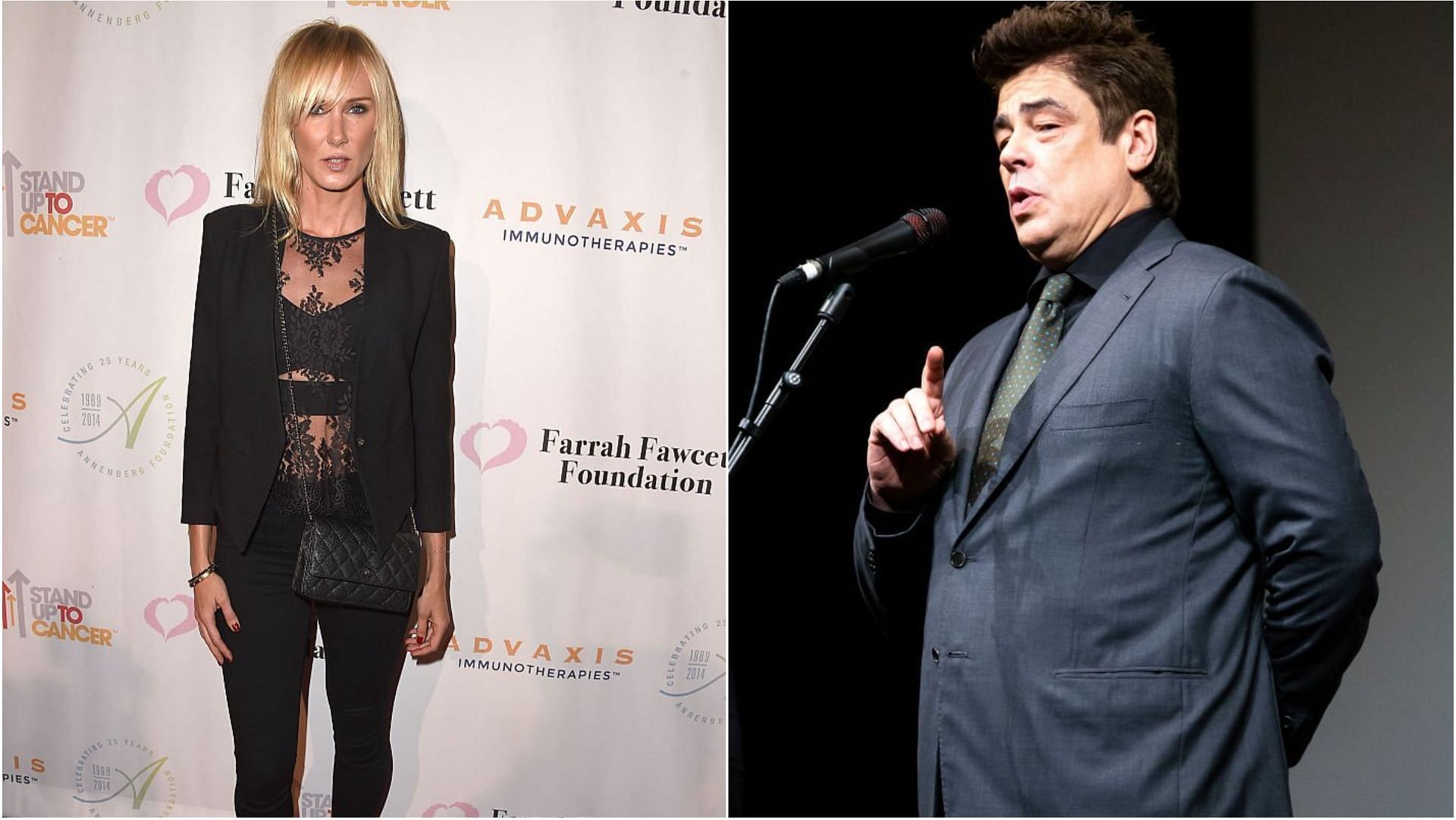 Kimberly Stewart and Benicio del Toro were romantically linked for some time in 2010 (Images via Steve Granitz and Gabriel Kuchta/Getty Images)