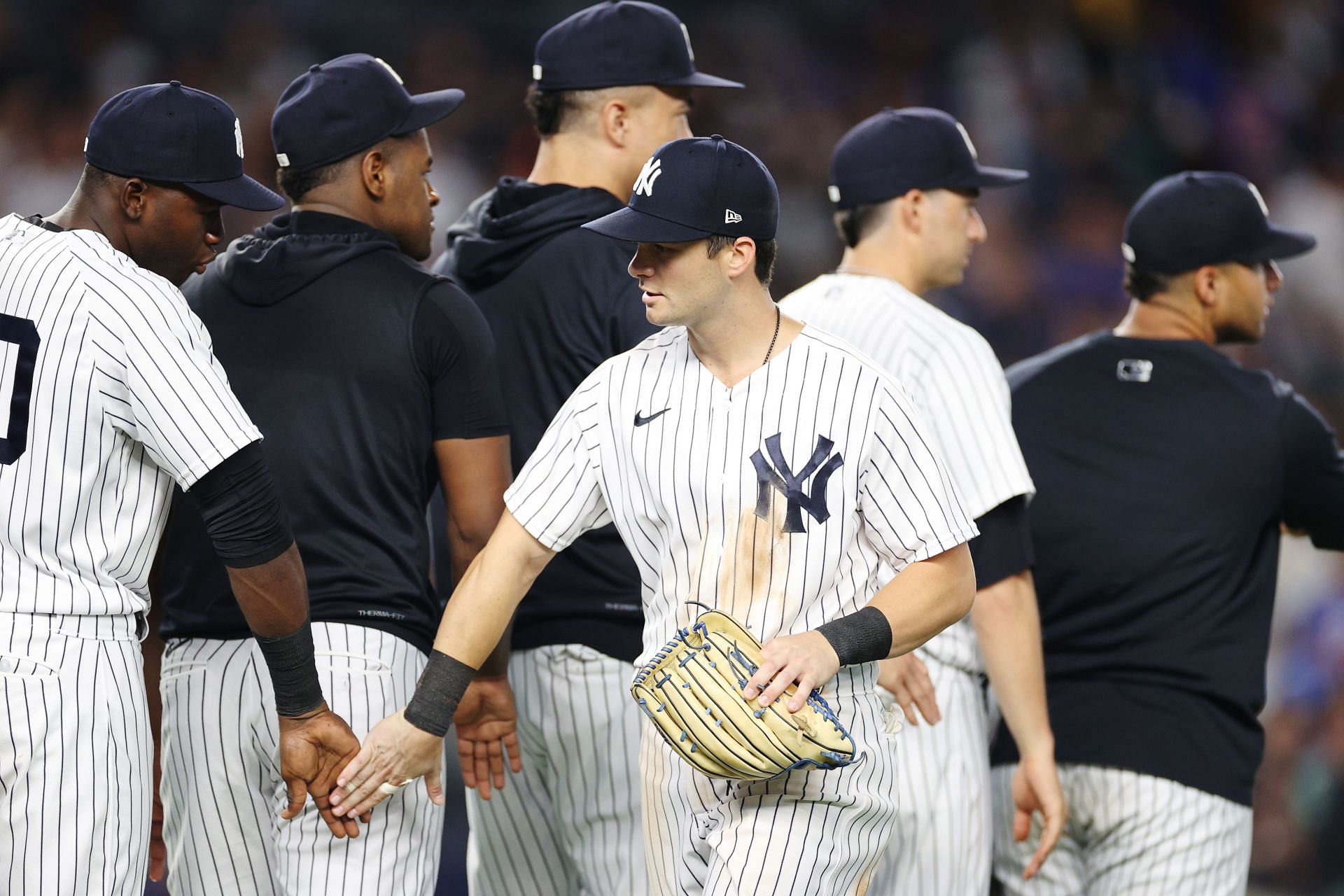 Check out New Era's 2023 New York Yankees Spring Training hat