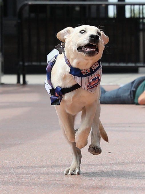 The NY Mets & Clover Park hit snag ahead of 2023 Spring Training