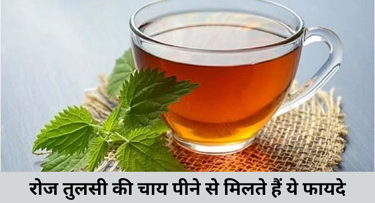 रोज तुलसी की चाय पीने से मिलते हैं ये फायदे(फोटो-Sportskeeda hindi)