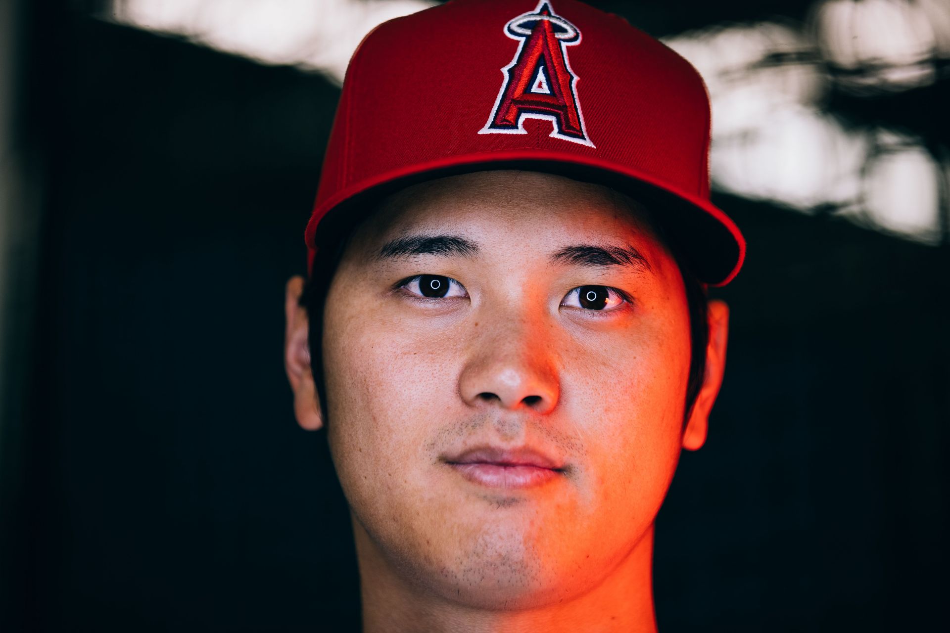 Los Angeles Angels Photo Day