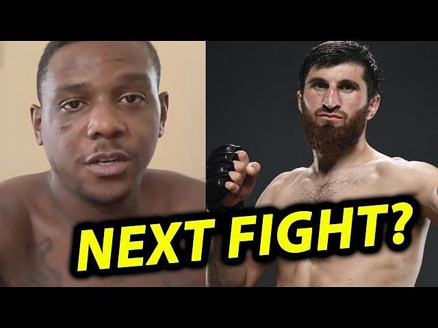 Jamahal Hill Doesn't Mind Knocking Magomed Ankalaev Out For His First ...