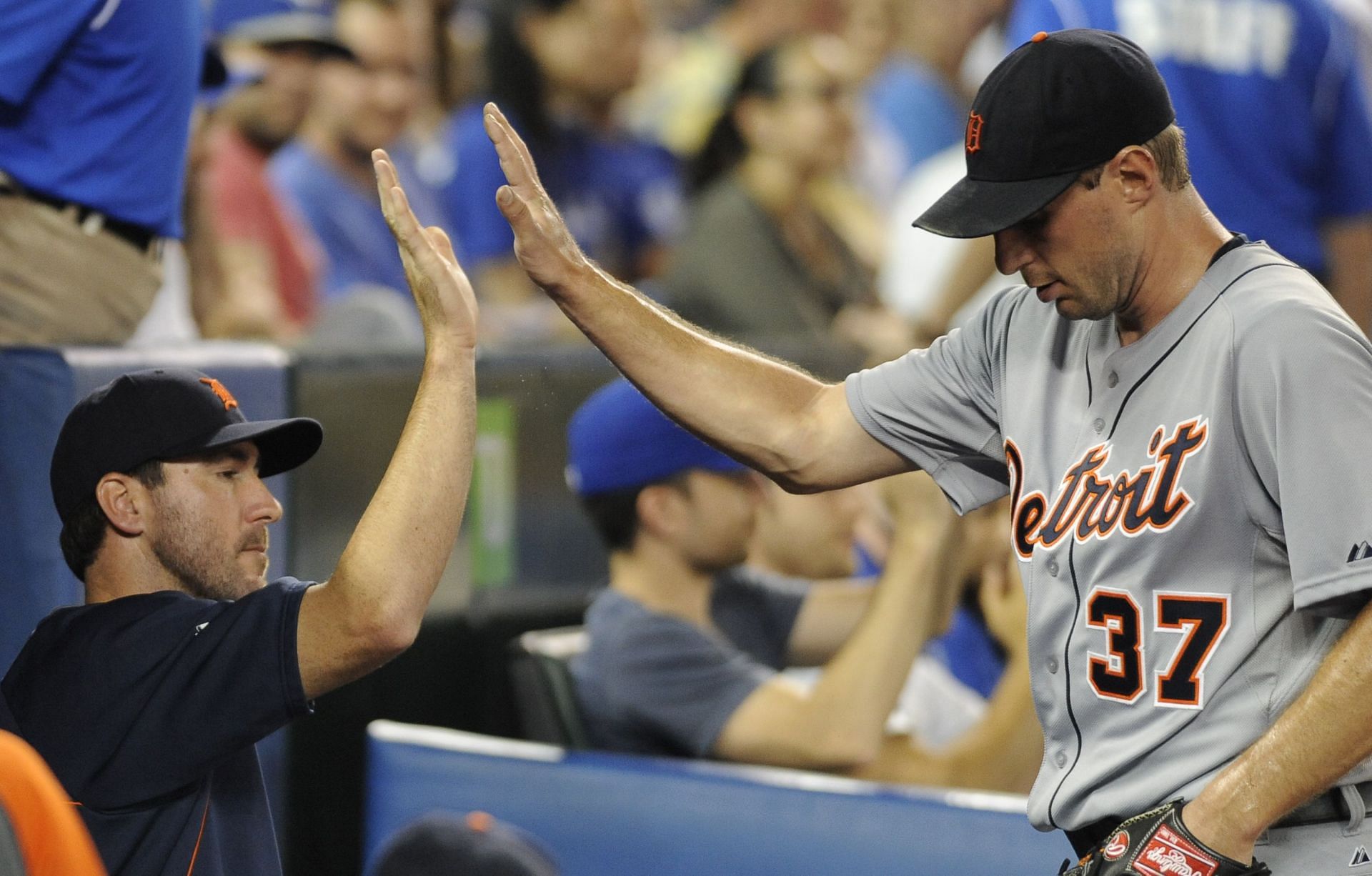 Detroit Tigers v Toronto Blue Jays: Max Scherzer of the Detroit Tigers high-fives teammate Justin Verlander during MLB game against the Toronto Blue Jays July 3, 2013 (Photo by Brad White/Getty Images)