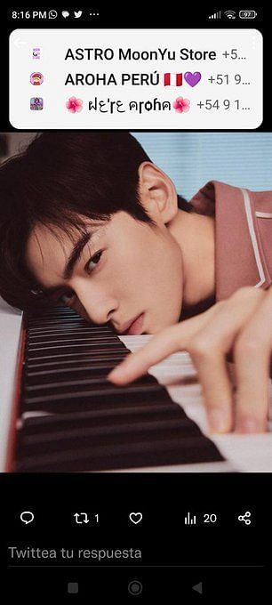 CHA EUNWOO 차은우 TRENDS on X: 📢TWITTER PARTY NOTICE‼️ RE: Cha EunWoo at the  Chaumet dinner gala 📆 06/08 (06/07 Paris) ⏰ 3am KST / 8pm CEST ❎Please  don't use the tags