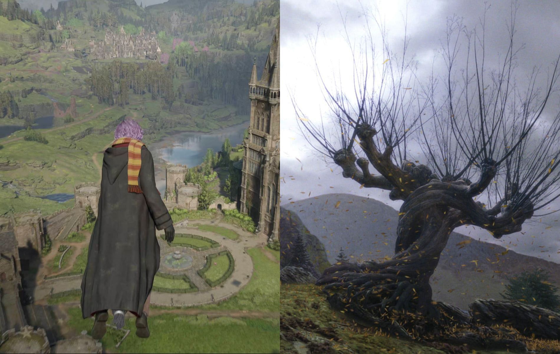 Fact Check Is the Whomping Willow in Hogwarts Legacy