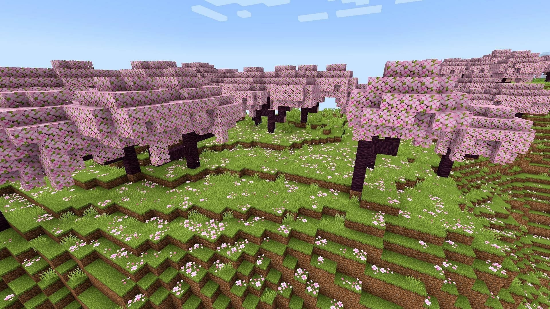 Cherry grove biomes introduce an all-new type of wood to build and decorate with (Image via Mojang)