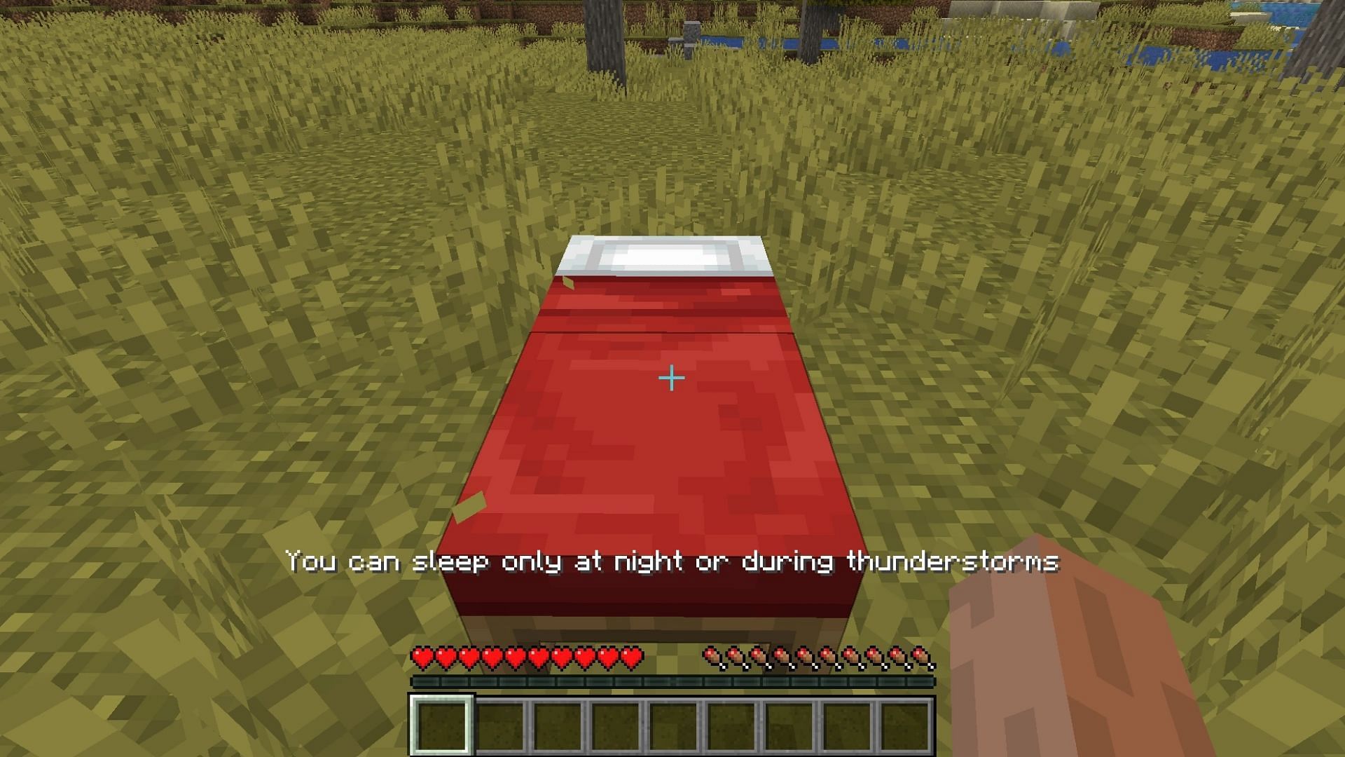 This mod allow players to vote whether they want to sleep in a multiplayer Minecraft world or not (Image via Mojang)